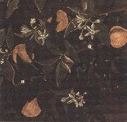 Sandro Botticelli Details of Primavera (mk36) China oil painting reproduction